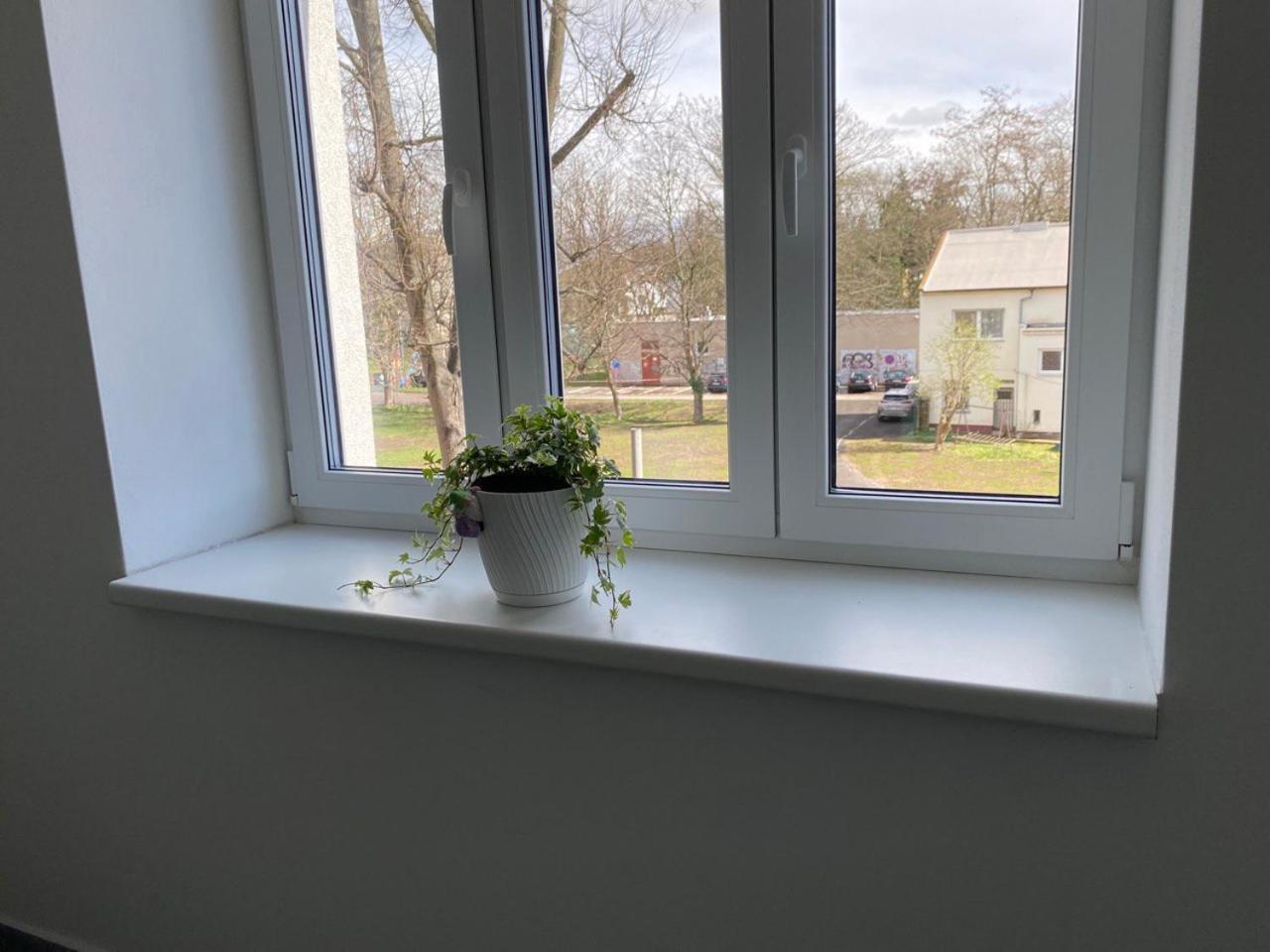 Appartement Perla Hradce 103 à Hradec Králové Extérieur photo